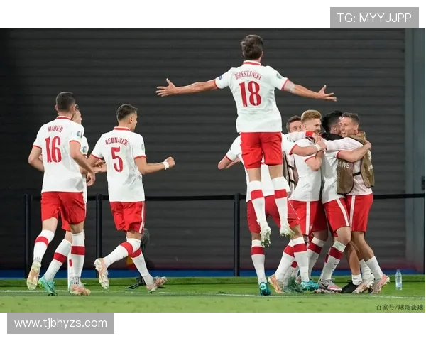 瑞典对波兰附加赛门票抢光 瑞典对波兰附加赛门票抢光